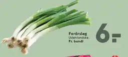 SPAR Forårsløg tilbud