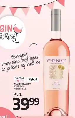 Fleggaard Why Not Rosé IGT tilbud