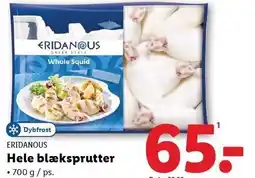 Lidl ERIDANOUS Hele blæksprutter tilbud