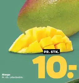 Netto Mango tilbud