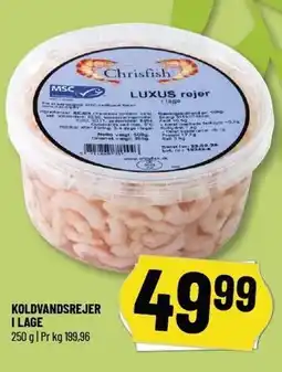 Løvbjerg KOLDVANDSREJER I LAGE 250 G tilbud