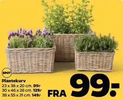 Netto Plantekurv tilbud