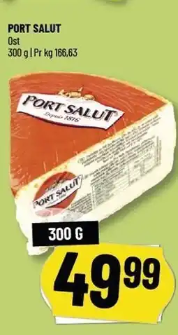 Løvbjerg PORT SALUT 300 G tilbud