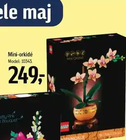 Føtex Mini-orkidé tilbud