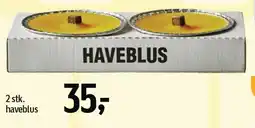 Føtex Haveblus tilbud