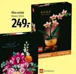 Føtex Mini-orkidé tilbud