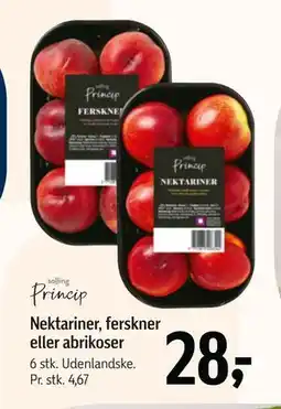 Føtex Nektariner, ferskner eller abrikoser tilbud