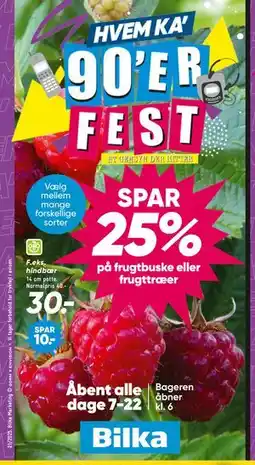 Bilka Hindbær tilbud