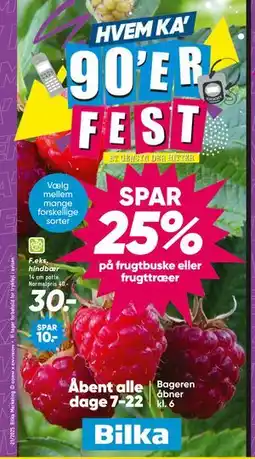 Bilka SPAR 25% på frugtbuske eller frugttræer tilbud