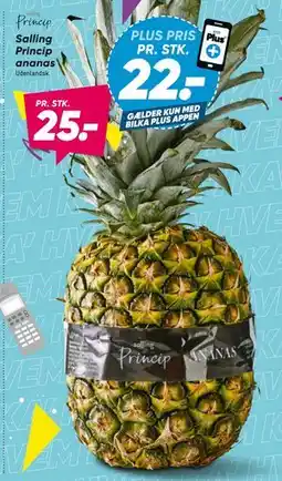 Bilka Salling Princip ananas tilbud