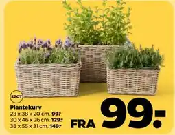 Netto Plantekurv tilbud