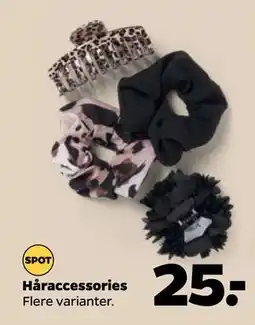 Netto Håraccessories tilbud