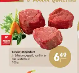 Citti Frisches Rinderfilet tilbud