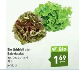 Citti Bio Eichblatt oder Bataviasalat tilbud