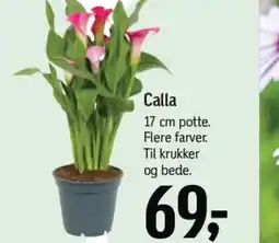 Føtex Calla tilbud