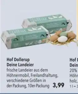 Citti Hof Dollerupholz Dein Eggs & Hopp tilbud