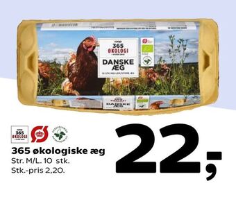 Coop 365 365 økologiske æg tilbud