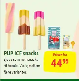 Maxi Zoo PUP ICE snacks tilbud
