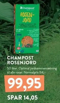 Plantorama CHAMPOST ROSENJORD tilbud