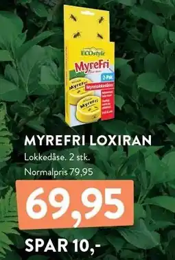 Plantorama MYREFRI LOXIRAN tilbud