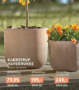 Plantorama KJÆRSTRUP HAVEKRUKKE tilbud
