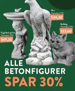 Plantorama SPAR 30% PÅ ALLE BETONFIGURER tilbud
