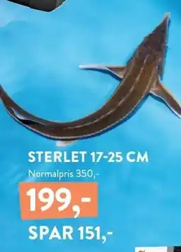 Plantorama STERLET tilbud