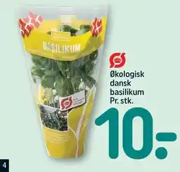 REMA 1000 Økologisk dansk bisilikum tilbud