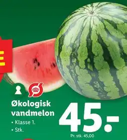 Lidl Økologisk vandmelon tilbud