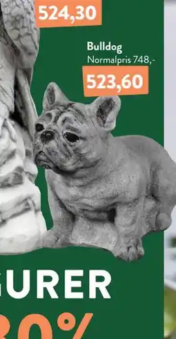 Plantorama Bulldog tilbud