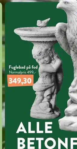 Plantorama Fuglebad på fod tilbud