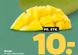 Netto Mango tilbud