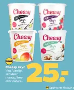 Netto Cheasy skyr tilbud