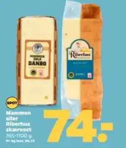 Netto SPOT Riberhus DANBO tilbud