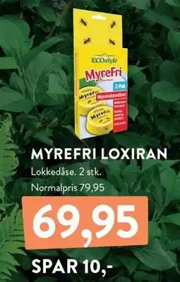 Plantorama MYREFRI LOXIRAN tilbud