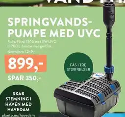 Plantorama SPRINGVANDSPUMPE MED UVC tilbud
