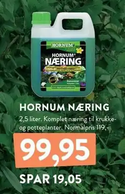Plantorama HORNUM NÆRING tilbud
