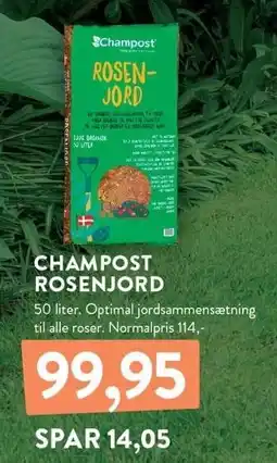 Plantorama CHAMPOST ROSENJORD tilbud