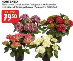 jem & fix HORTENSIA tilbud