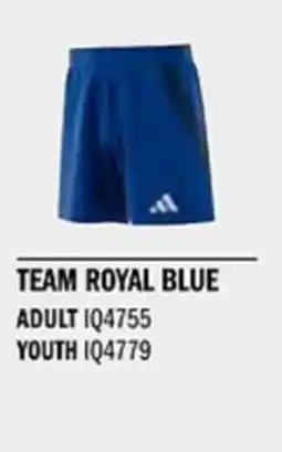 Sport Direct ADIDAS Short TIRO24 C M SHO Team Royal blue tilbud