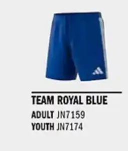 Sport Direct ADIDAS Short TASTIGO25 SHO Team Royal blue tilbud