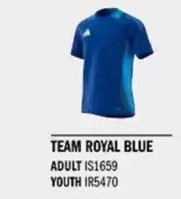Sport Direct ADIDAS Jersey TIRO24 C TR JSY Team Royal blue tilbud
