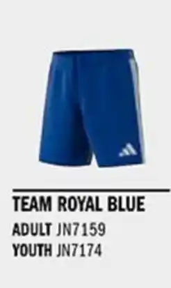 Sport Direct ADIDAS Short TASTIGO25 Team royal blue tilbud
