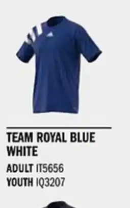 Sport Direct ADIDAS Jersey FORTORE23 JSY Team royal blue white tilbud