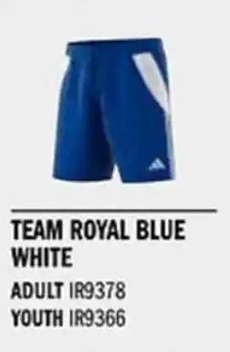 Sport Direct ADIDAS Short TIRO24 SHO Team royal blue white tilbud