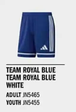 Sport Direct ADIDAS Short SQUA25 SHO Team royal blue Team royal blue white tilbud