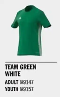Sport Direct ADIDAS Jersey TABELA 23 JSY Team green white tilbud