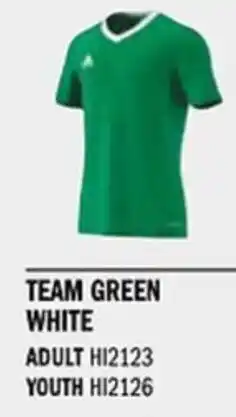 Sport Direct ADIDAS Jersey ENT22 JSY Team green white tilbud