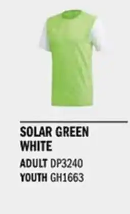 Sport Direct ADIDAS Jersey ESTRO 19 JSY Solar green white tilbud