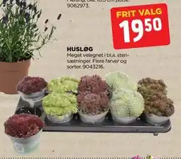 jem & fix HUSLØG tilbud